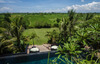 Villa Mana - Rice terrace outlook